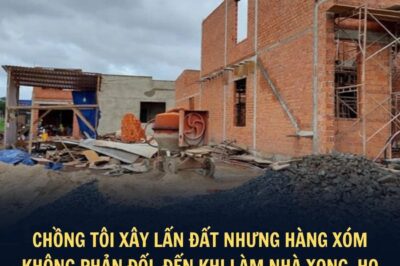 Nhận “trái đắng” vì cho hàng xóm mượn đất