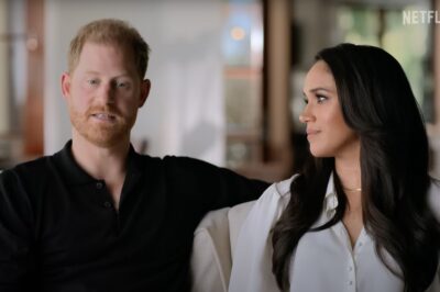 Netflix Deal with Prince Harry and Meghan Markle Hits Another Roadblock