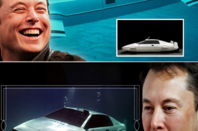 Elon Musᴋ claims Teꜱla designed ᴀ car that can ᴅive underwater