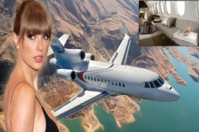 Taylor Swift bought a private jet to serve the Eras Tour and also to conveniently go on a date with Travis Kelce