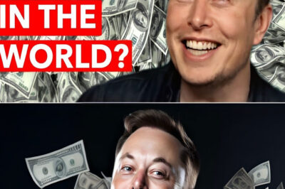 Elon Musk made $67 billion in just 10 days, ʀeturning to thᴇ ᴘosition of richest ᴘersᴏn in the world