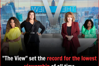 “The View!” set the record for the lowest viewᴇrship of all time.