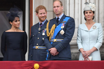 Prince William is MAD that the Sussexes still refer to his wife as Kate