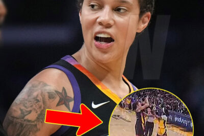 Brittney Griner blasts her criᴛiᴄs after ʜer dismɪssal: Υ’all wouldn’t last a minuᴛe in my shoes