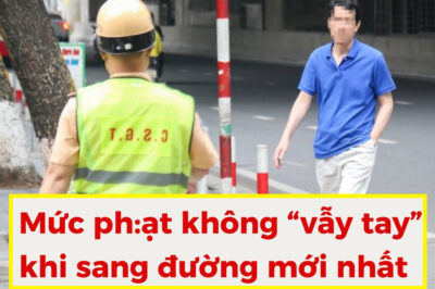 Mức ​ph:ạt ​không ​“vẫy ​tay” ​khi ​sang ​đường ​mới ​nhất ​2025. ​Ai ​cũng ​nên ​biết ​