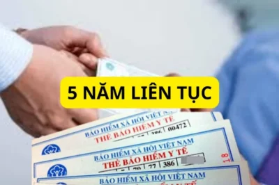 Từ ​ngày ​15/1: ​Người ​dân ​sẽ ​được ​trợ ​cấp ​14 ​triệu ​đồng/tháng ​khi ​đóng ​BHYT ​đủ ​5 ​năm ​liên ​tục ​